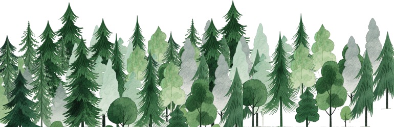 bg-250708001.fw.png